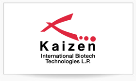Kaizen