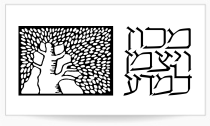 מכון ויצמן